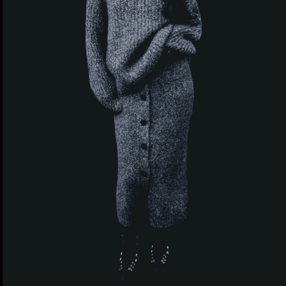 NWT ZARA knit skirt - Picture 7 of 9